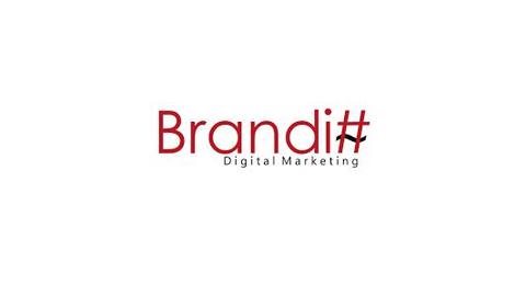 BRANDITT SAS